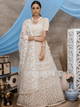 Delicate Pretty Beige Net Lehenga Choli by Fashion Nation
