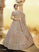 Party Wear Embroidered Lehenga Choli for Online Sales by Fashion Nation