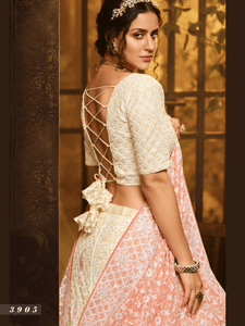Wedding Lucknowi Lehenga Choli at Cheapest Prices by Fashion Nation