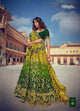 Mehendi Special Designer Shaded Green Lehenga Choli by Fashion Nation