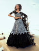 Evening Party Wear Designer All Occasions Special Lehenga Choli - Fashion Nation
