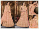 Wedding Special Nakkashi NAK5124 Bridal Light Orange Handloom Silk Net Lehenga Choli - Fashion Nation