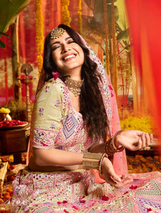 Function Special Lehenga Choli