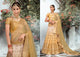 Amazing VAS1206 Shaded Beige Silk Net Lehenga Choli - Fashion Nation