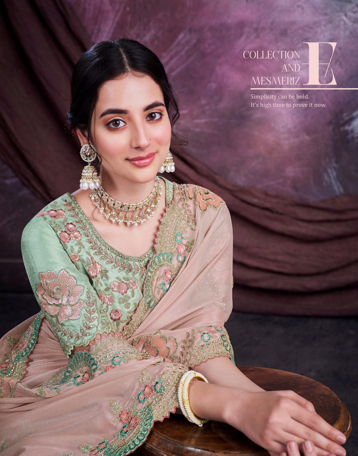 Shaadi Functions Wear Embroidered Sari - Fashion Nation