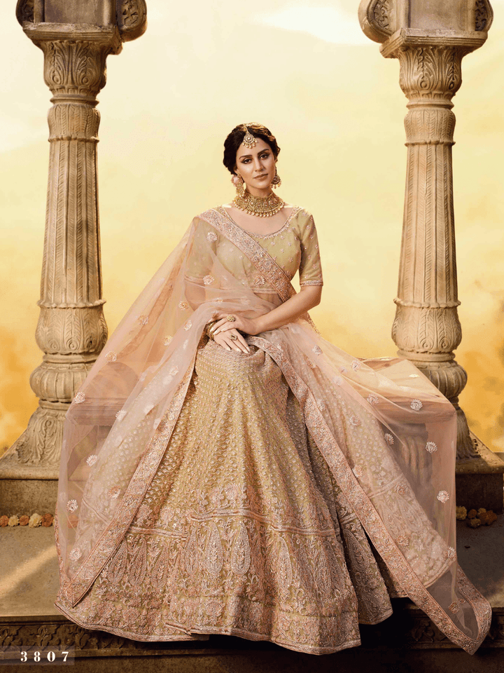 Latest Tissue Coloured Gota Silk Net Ethnic Lehenga Choli - Fashion Nation